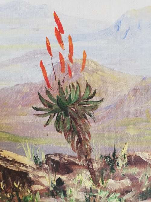 Stunning original 'Transkei' by Marthinus Le Grange