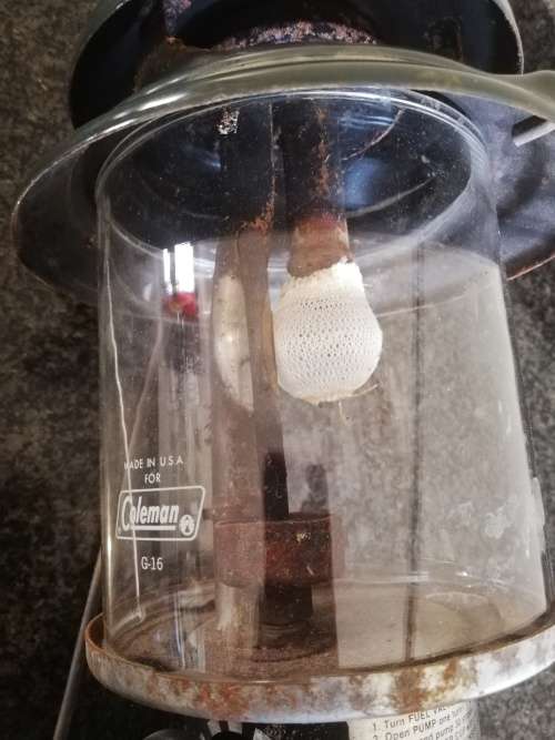 Coleman 214 lamp