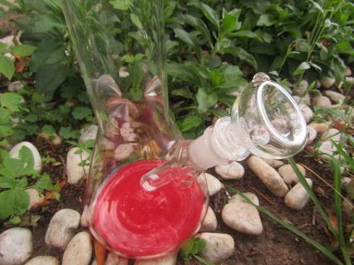 EVERYDAY BONG