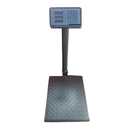300kg Digital metal platform scale