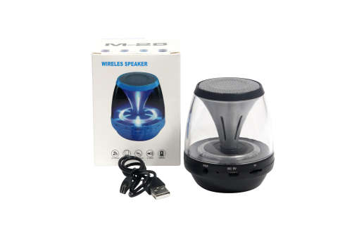 Wireless Bluetooth Speaker With FM Radio
