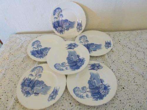 A set of six blue and white myott son dinner plates