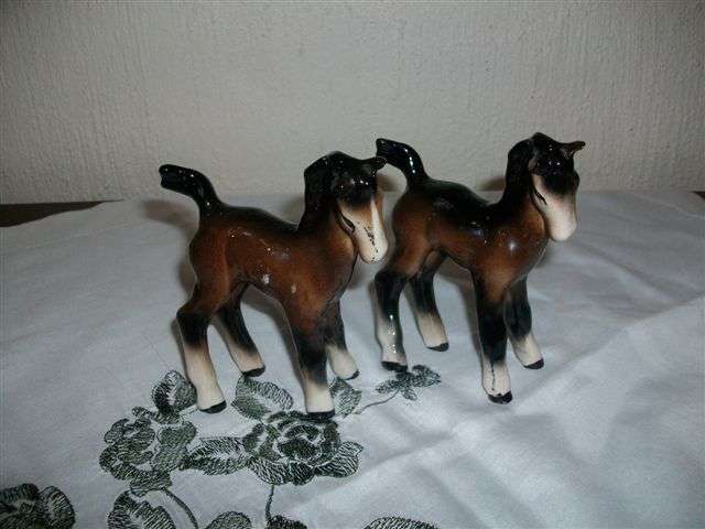 Two lovely ponies
