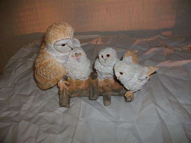 Lovely group of barn owls for the collector