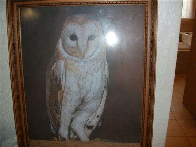 Lovely wall haning of a owl