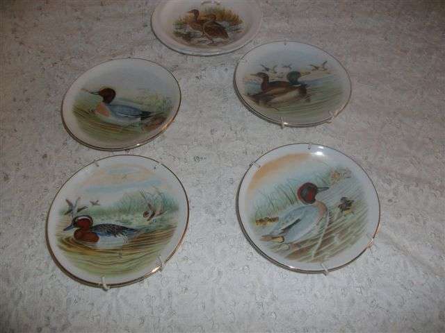 Collection of five small duck plates for the collector