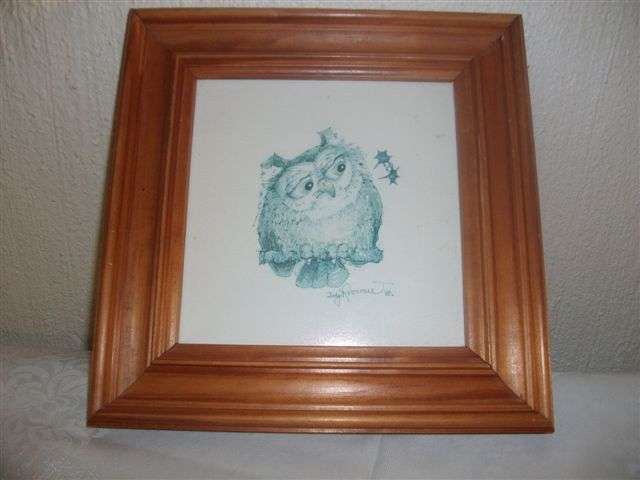 last one small framed print of owl by judy rossouw