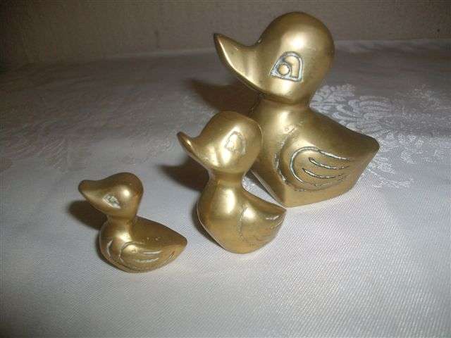 Brass duck famliy