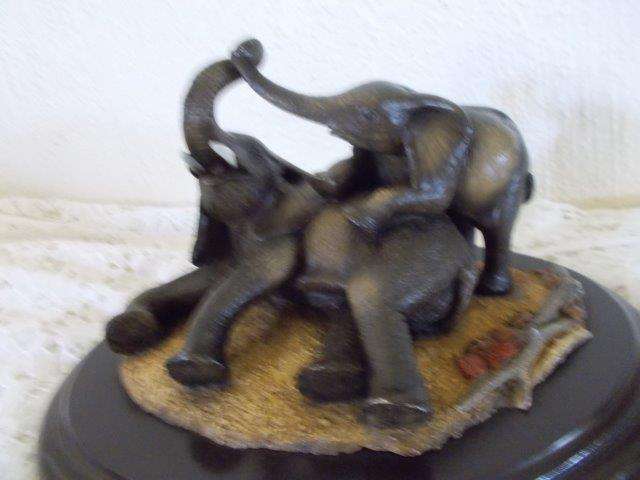 Lovely collectable feathers of knysa elephants
