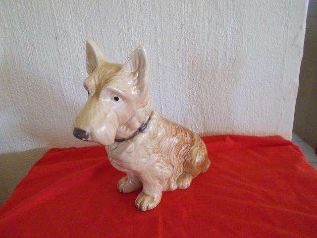 Large sylavac terrier dog