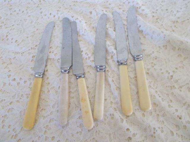 A set of six bone handle knifes