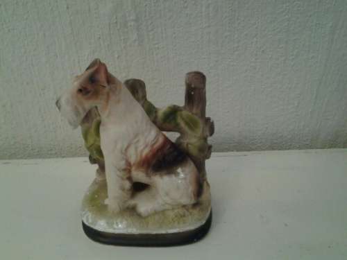 sweet model of a dog terrier