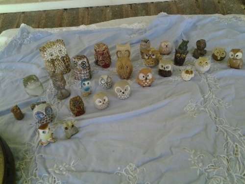 huge collection of some owls