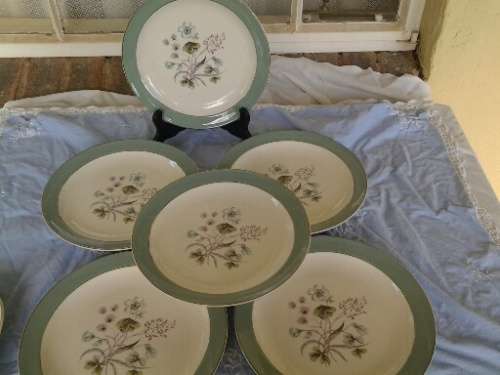A set of six vintage midwinter plates