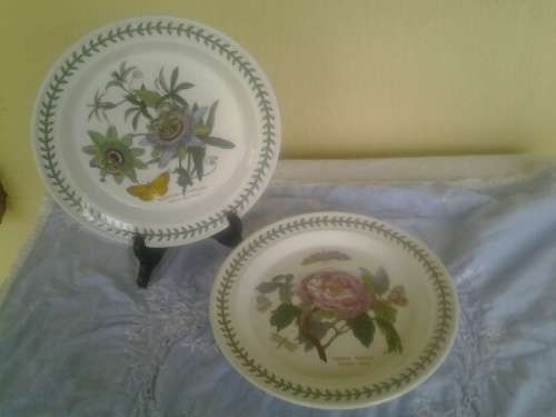 two  pretty botaincal scenes portmeirion plates