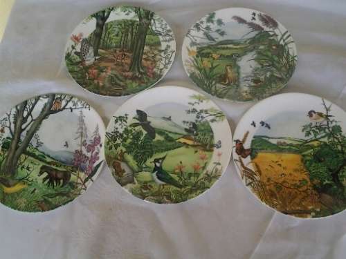 Five collectable wedgwood animal scene wall plates