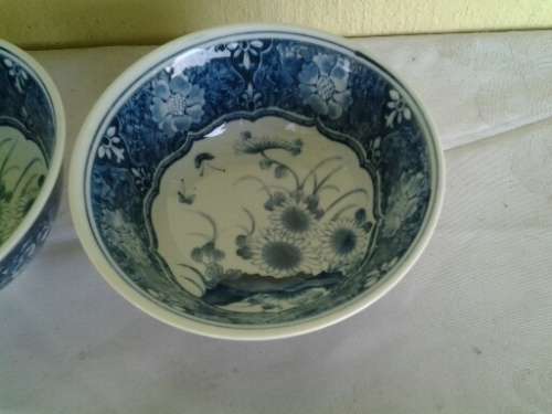 A pair of pretty blue and white oriental porcelain bowls