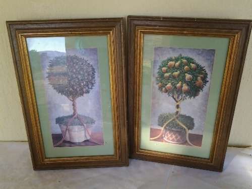 two small stunning framed fruit trees prints