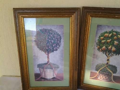two small stunning framed fruit trees prints