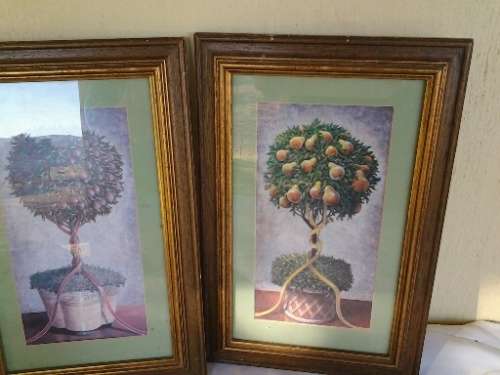 two small stunning framed fruit trees prints