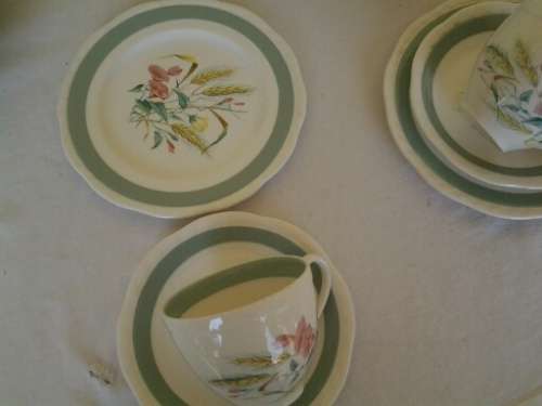 stunning vintage alfred meakin incomplete tea set