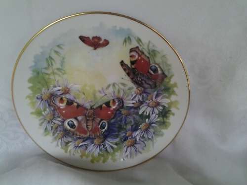 Stunning Decorative Butterfly kingdom by jones & middleton