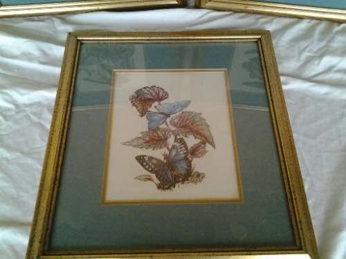 A set of three beautifully framed butterfly prints behind glass