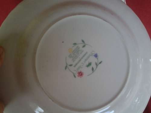 A set of six pretty porcelain summer chintz pattern Johnson brothers dinner plates