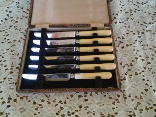 cased vintage bone handle fruit knifes