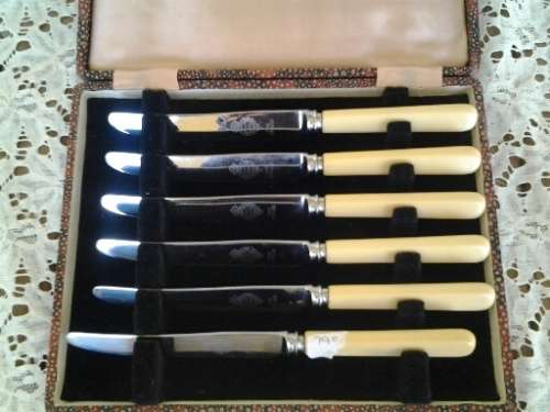 cased vintage bone handle fruit knifes