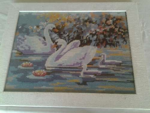framed stunning tapersty of swans behind glass
