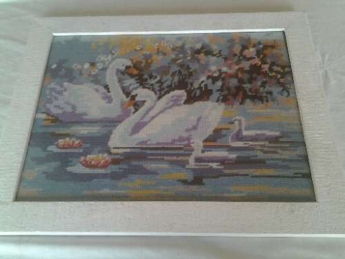 framed stunning tapersty of swans behind glass