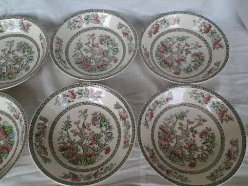 set of six pretty Indian tree pattern by johonson brothers soup bowls
