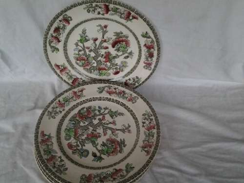 eight stunning vintage Indian tree pattern by johnson brothers dinner plates