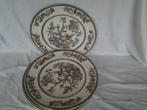 eight stunning vintage Indian tree pattern by johnson brothers dinner plates