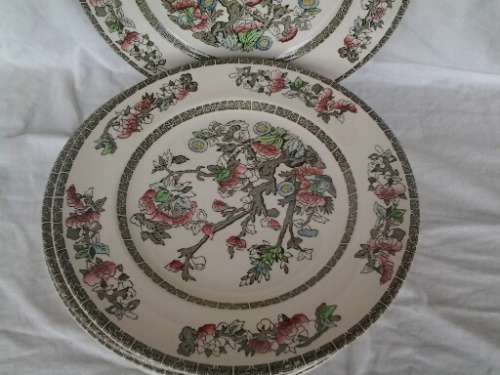eight stunning vintage Indian tree pattern by johnson brothers dinner plates