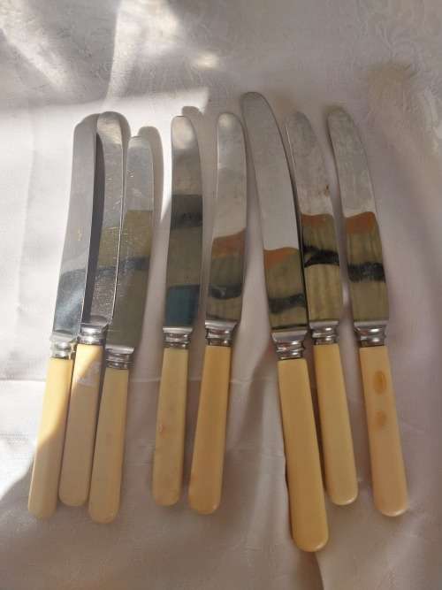 A lot of eight vintage bone handle knifes