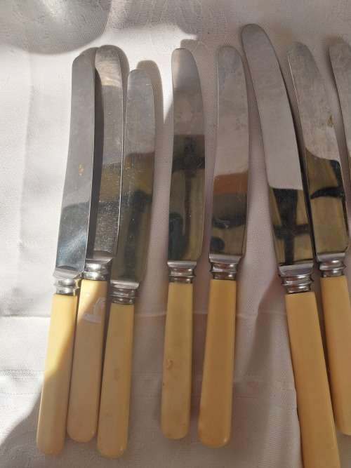 A lot of eight vintage bone handle knifes