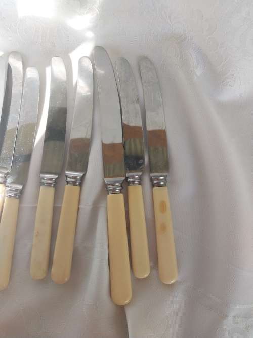 A lot of eight vintage bone handle knifes