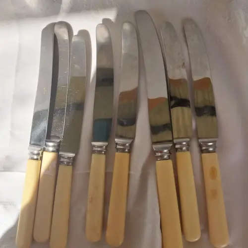 A lot of eight vintage bone handle knifes