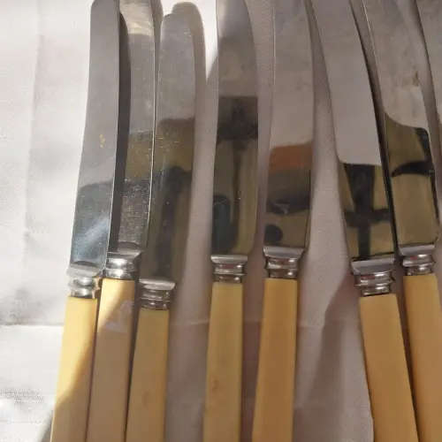 A lot of eight vintage bone handle knifes
