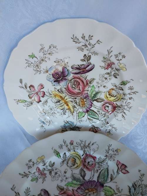 Set of six pretty Sheraton by Johnson Brothers dinner plates