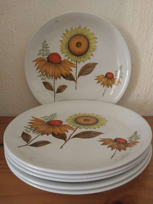 Six retro style Alfred meakin vintage dinner plates