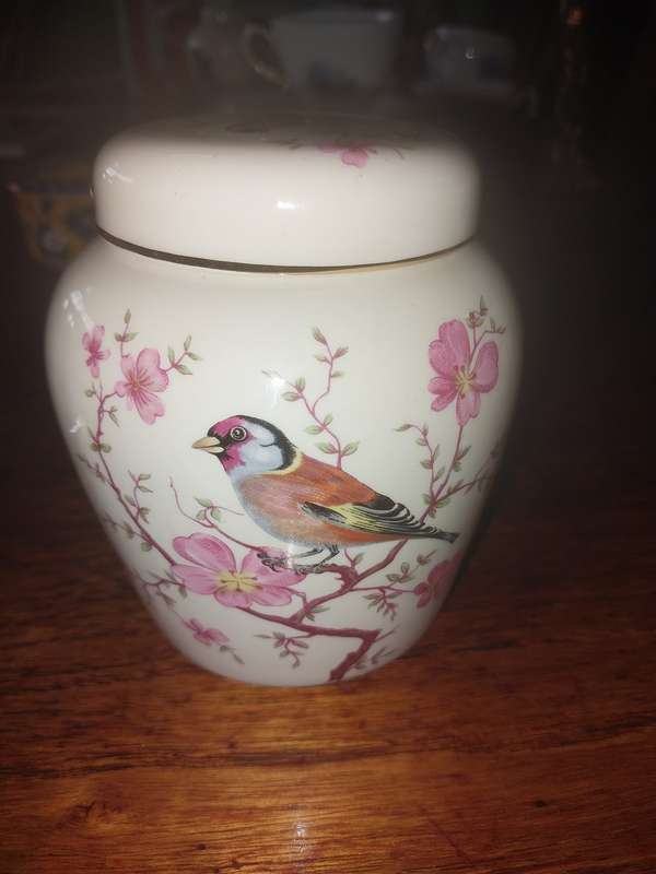 Nice bird scene procelain jar