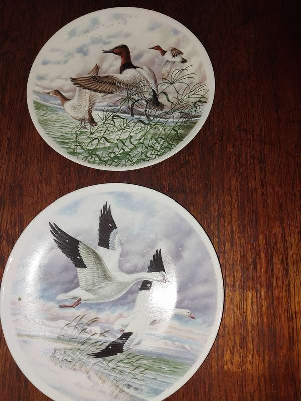 Two stunning royal worster bird scene plates