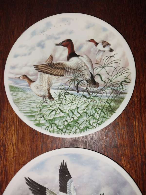 Two stunning royal worster bird scene plates