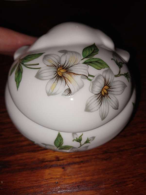 Pretty floarl cute dog trinket box
