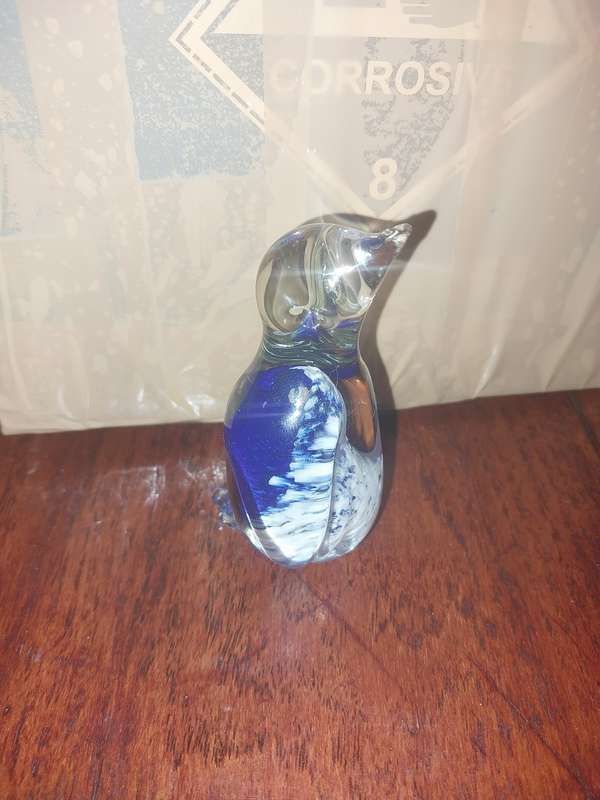 Stunning little glass penguin