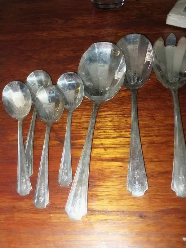 A lot of shell shaped spoons and serving sooons