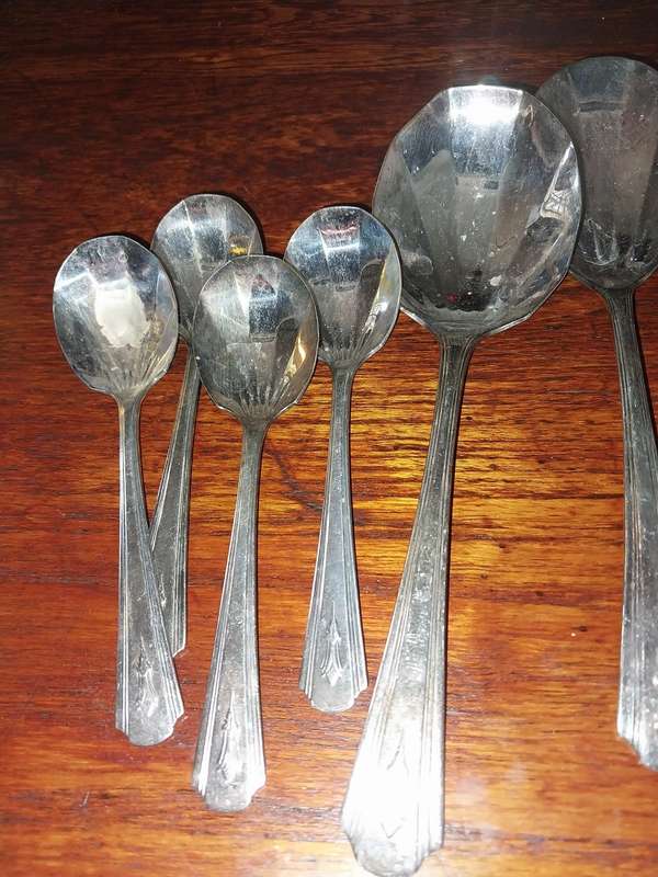 A lot of shell shaped spoons and serving sooons